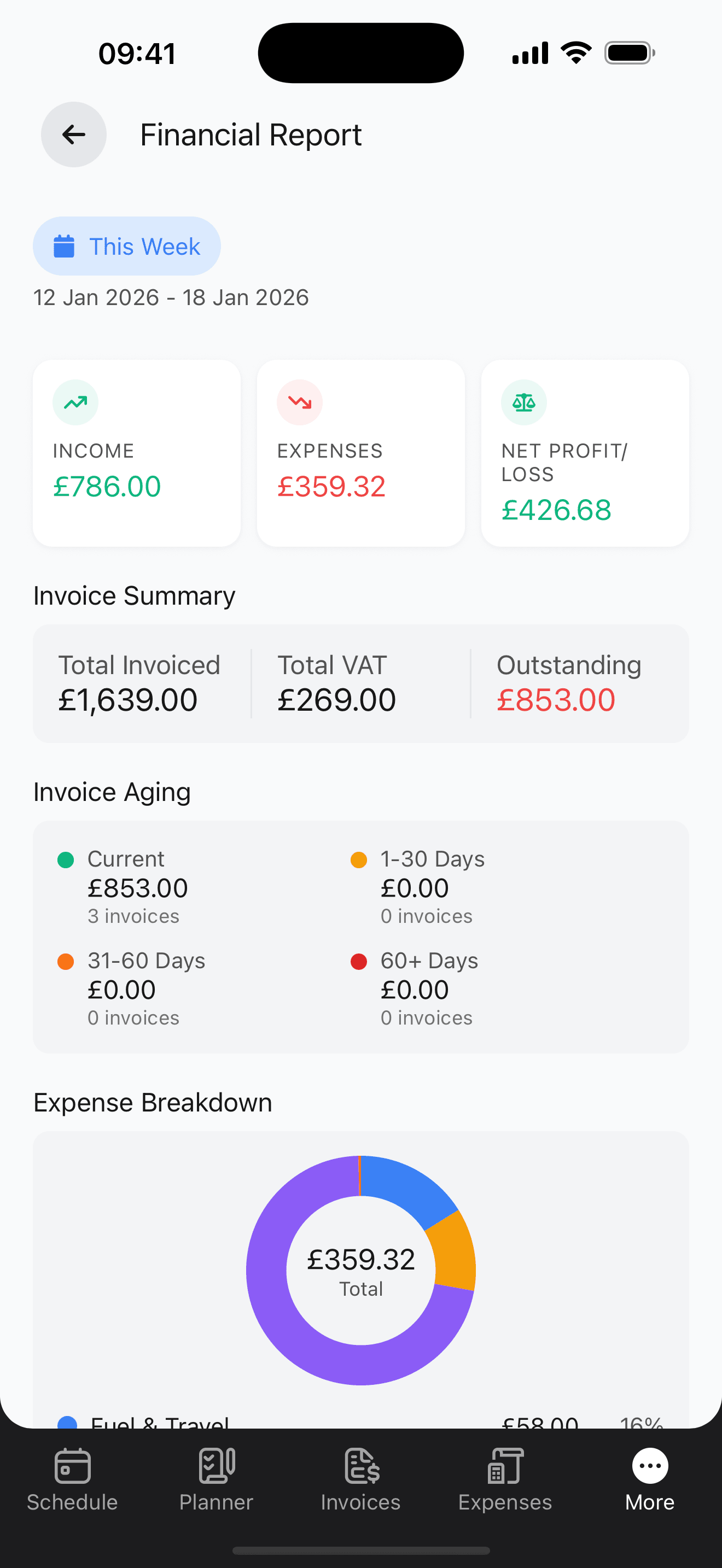 Financial Report with income, expenses, profit, and invoice aging
